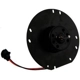 Purchase Top-Quality New Blower Motor Without Wheel by CONTINENTAL - PM271 pa3