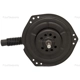 Purchase Top-Quality New Blower Motor Without Wheel by FOUR SEASONS - 35116 pa37