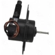 Purchase Top-Quality New Blower Motor Without Wheel by FOUR SEASONS - 35279 pa6