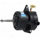 Purchase Top-Quality New Blower Motor Without Wheel by FOUR SEASONS - 35366 pa6
