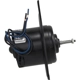 Purchase Top-Quality New Blower Motor Without Wheel by FOUR SEASONS - 35375 pa31