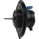 Purchase Top-Quality New Blower Motor Without Wheel by FOUR SEASONS - 35437 pa21