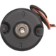 Purchase Top-Quality New Blower Motor Without Wheel by FOUR SEASONS - 35576 pa27