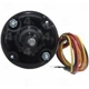 Purchase Top-Quality New Blower Motor Without Wheel by FOUR SEASONS - 35590 pa3