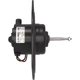 Purchase Top-Quality New Blower Motor Without Wheel by FOUR SEASONS - 35631 pa19