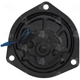 Purchase Top-Quality New Blower Motor Without Wheel by FOUR SEASONS - 35689 pa2