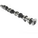 Purchase Top-Quality SKP - SKES0356 - Engine Camshaft pa2