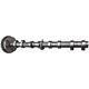 Purchase Top-Quality New Camshaft by VAICO - V10-5584 pa1