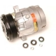 Purchase Top-Quality New Compressor And Clutch by DELPHI - CS20009 pa20