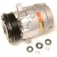 Purchase Top-Quality New Compressor And Clutch by DELPHI - CS20009 pa6