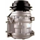 Purchase Top-Quality New Compressor And Clutch by DELPHI - CS20100 pa11