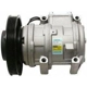 Purchase Top-Quality New Compressor And Clutch by DELPHI - CS20109 pa10