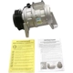 Purchase Top-Quality New Compressor And Clutch by DELPHI - CS20110 pa1