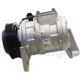 Purchase Top-Quality New Compressor And Clutch by DELPHI - CS20110 pa9