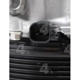 Purchase Top-Quality New Compressor And Clutch by FOUR SEASONS - 168397 pa10