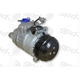 Purchase Top-Quality Compresseur et embrayage neuf by GLOBAL PARTS DISTRIBUTORS - 6513139 pa5