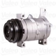 Purchase Top-Quality New Compressor And Clutch by VALEO - 10000631 pa9