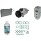 Purchase Top-Quality New Compressor With Kit-Complete Plus by UAC - KT1076A pa3
