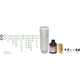 Purchase Top-Quality FOUR SEASONS - 2293NK - New Compressor With Kit pa2