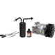 Purchase Top-Quality FOUR SEASONS - 3161NK - Air Conditioning Compressors pa1