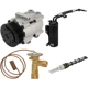 Purchase Top-Quality FOUR SEASONS - TSN3638 - A/C Compressor & Component Kit pa1