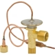Purchase Top-Quality FOUR SEASONS - TSN3995 - New Compressor With Kit pa2