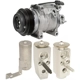 Purchase Top-Quality FOUR SEASONS - TSN4311 - A/C Compressor Kit pa1