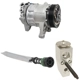 Purchase Top-Quality FOUR SEASONS - TSN4875 - A/C Compressor & Component Kit pa3