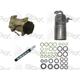 Purchase Top-Quality New Compressor With Kit by GLOBAL PARTS DISTRIBUTORS - 9611822 pa1