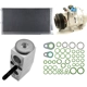 Purchase Top-Quality New Compressor With Kit by GLOBAL PARTS DISTRIBUTORS - 9633369A pa8