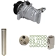 Purchase Top-Quality GLOBAL PARTS DISTRIBUTORS - 9645542 - AC Compressor Kit pa3