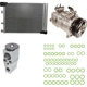 Purchase Top-Quality GLOBAL PARTS DISTRIBUTORS - 9645555A - AC Compressor Kit pa2