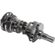 Purchase Top-Quality New Crankshaft by ACDELCO - 12653000 pa2