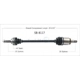 Purchase Top-Quality TRAKMOTIVE - SB8117 - CV Axle Shaft pa2