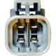 Purchase Top-Quality New Distributor by WAI GLOBAL - DST1007 pa6