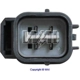 Purchase Top-Quality New Distributor by WAI GLOBAL - DST17424 pa4