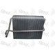 Purchase Top-Quality New Evaporator by GLOBAL PARTS DISTRIBUTORS - 4711726 pa1