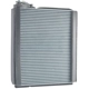 Purchase Top-Quality TYC - 97135 - A/C Evaporator Core pa1