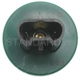 Purchase Top-Quality New Fuel Injector by BLUE STREAK (HYGRADE MOTOR) - TJ19 pa2