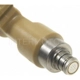 Purchase Top-Quality Injecteur de carburant neuf de BLUE STREAK (HYGRADE MOTOR) - FJ959 pa1