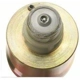 Purchase Top-Quality New Fuel Injector by BLUE STREAK (HYGRADE MOTOR) - TJ28 pa8
