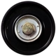 Purchase Top-Quality CONTINENTAL - 49183 - New Idler Pulley pa2