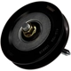 Purchase Top-Quality New Idler Pulley by DORMAN/TECHOICE - 419-724 pa5