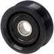 Purchase Top-Quality LITENS AUTOMOTIVE - 900149A - Idler/Tensioner Pulley pa6