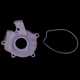 Purchase Top-Quality New Oil Pump by AISIN - OPT053 pa6