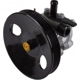 Purchase Top-Quality New Power Steering Pump by AISIN - SPK004 pa11
