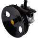 Purchase Top-Quality New Power Steering Pump by AISIN - SPK004 pa8