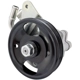 Purchase Top-Quality New Power Steering Pump by HITACHI - PSP0007 pa2
