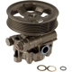 Purchase Top-Quality New Power Steering Pump by MAVAL - 96349MN pa1
