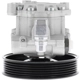 Purchase Top-Quality MAVAL - 96399MN - Power Steering Pump pa2